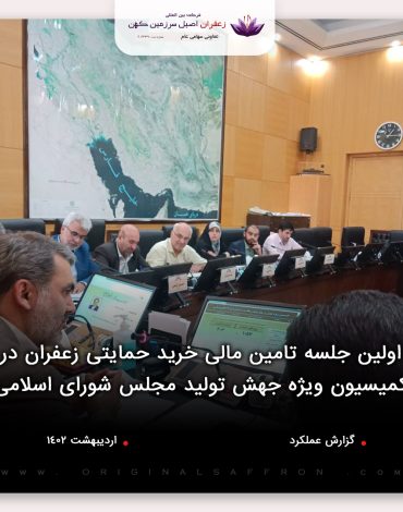 جهش تولید