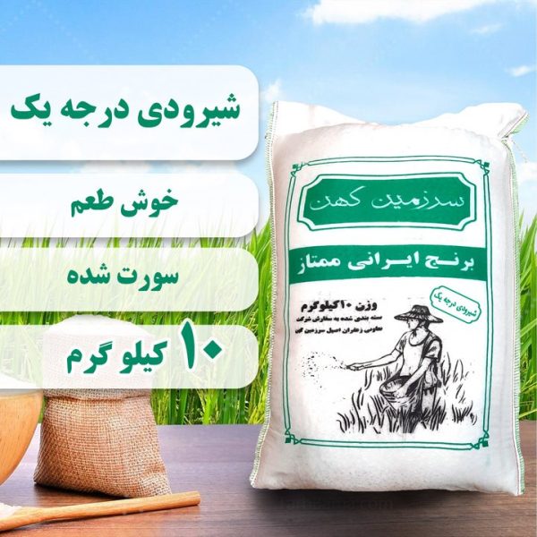 شیرودی