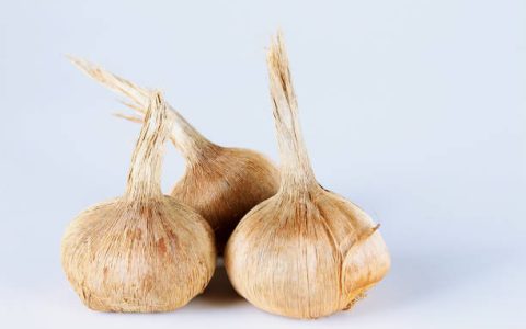 پیاز زعفران
