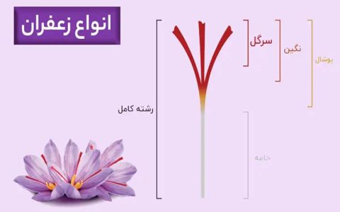 انواع زعفران