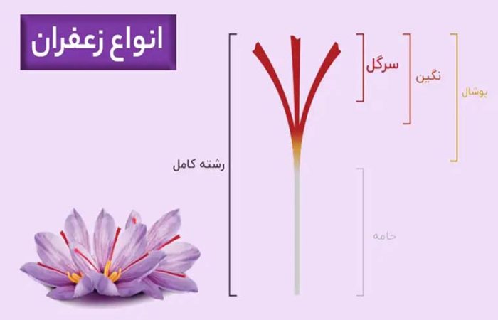 انواع زعفران