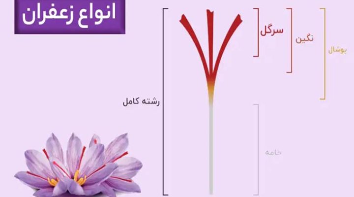 انواع زعفران