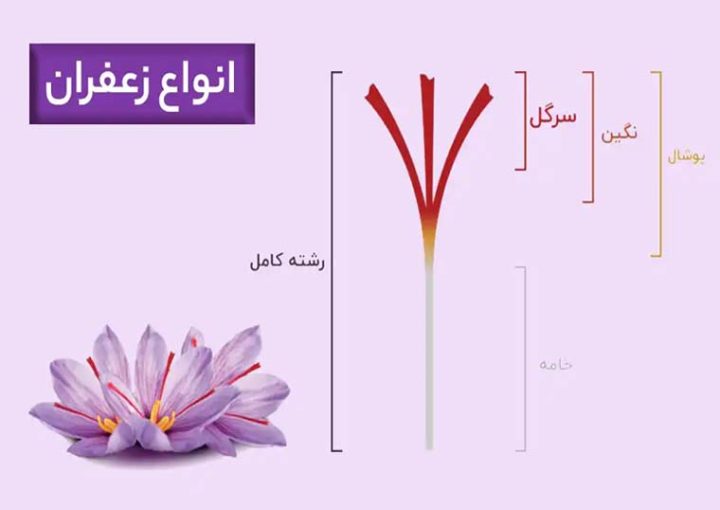 أنواع الزعفران