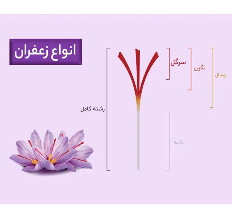 انواع زعفران