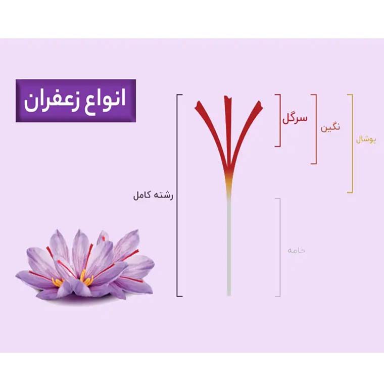 Types of Saffron