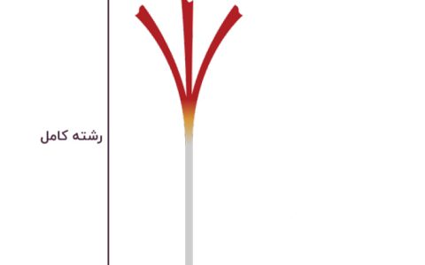 زعفران دسته