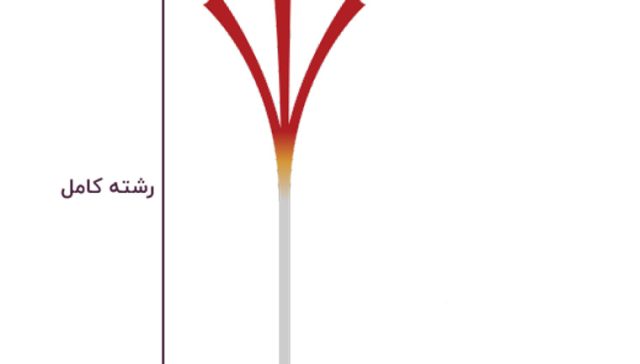 زعفران دسته