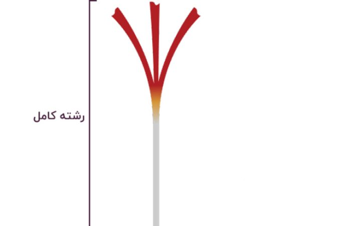 زعفران دسته