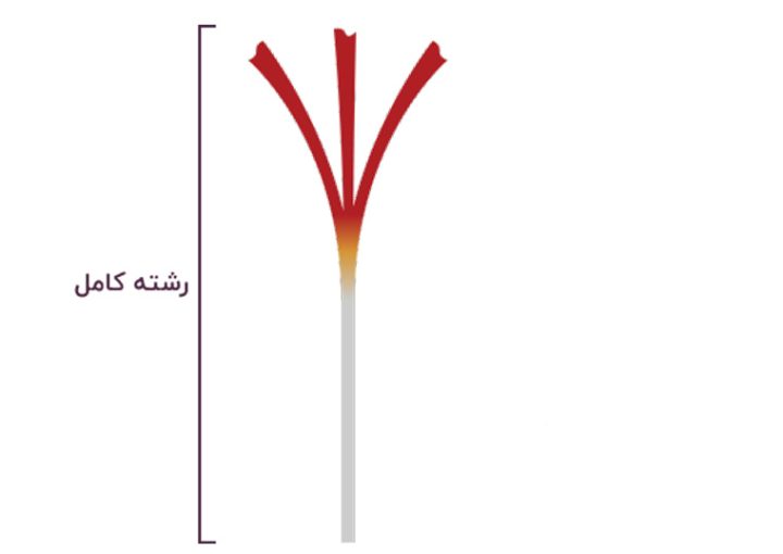 زعفران الدستة