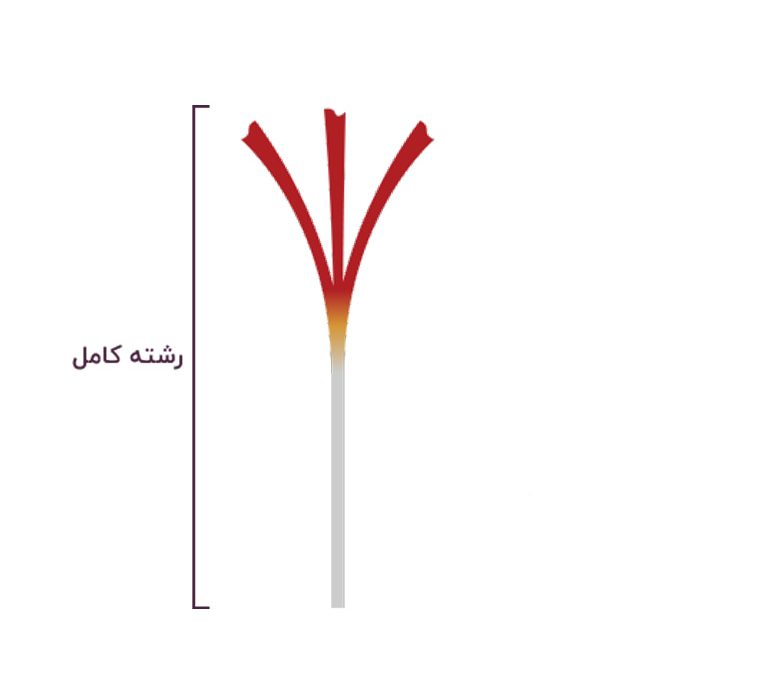زعفران دسته