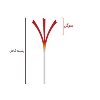 زعفران سرگل