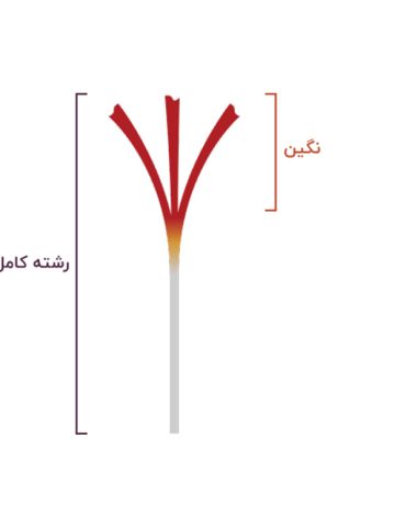 زعفران نگین