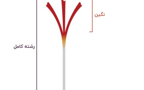 زعفران نگین