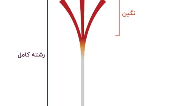 زعفران نگین