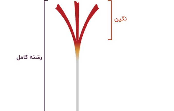 زعفران نگین
