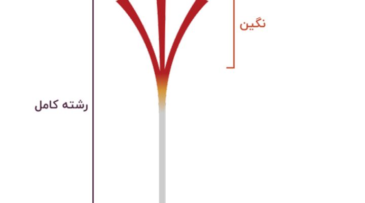 زعفران نگین