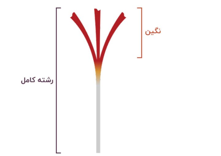 زعفران نگین