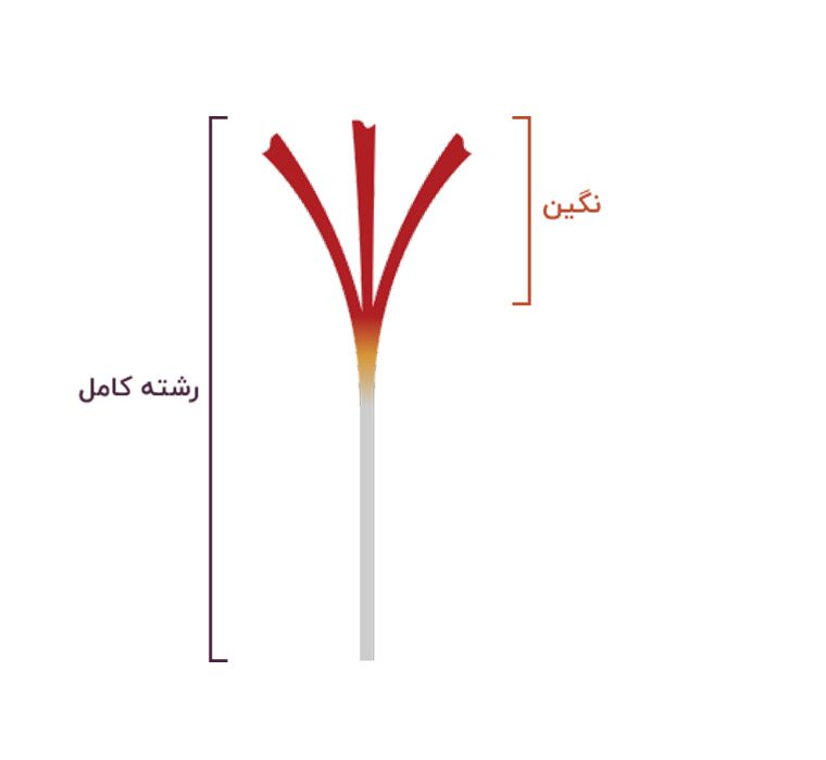 زعفران نگین