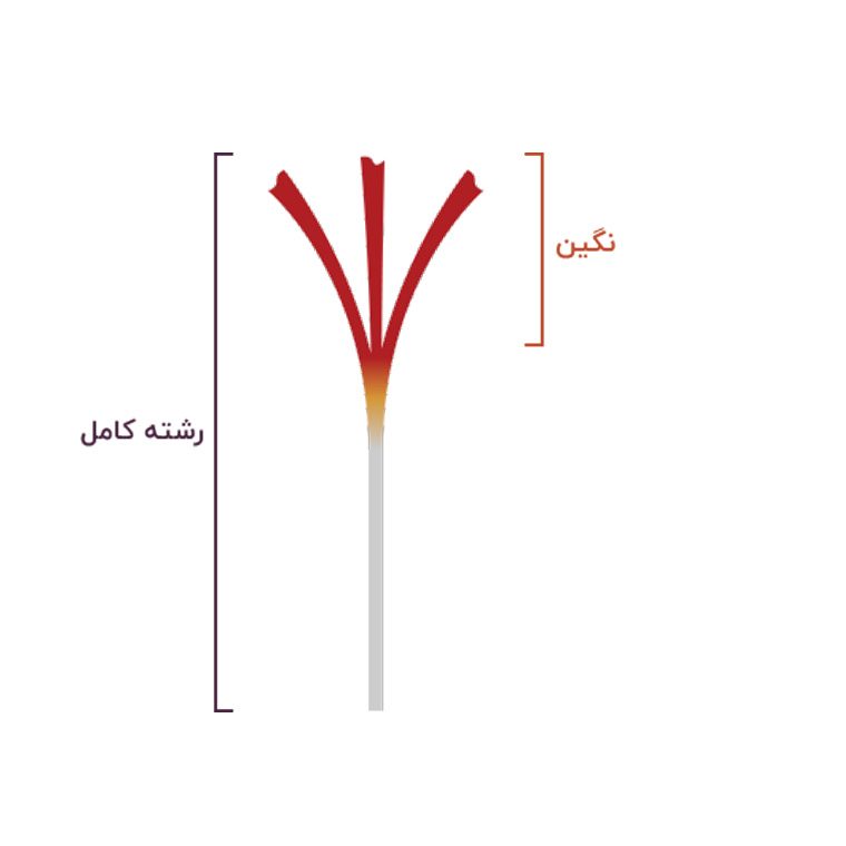 الزعفران الثمين