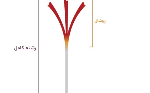 زعفران پوشال