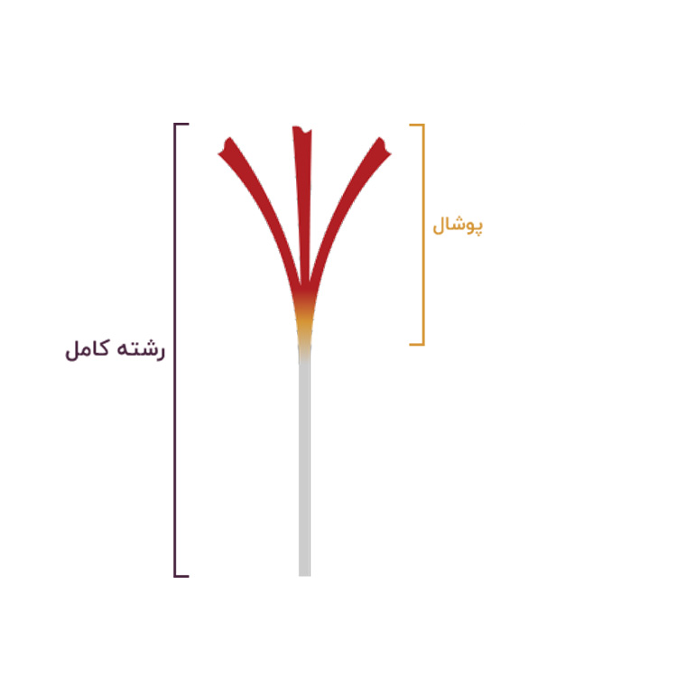 زعفران پوشال