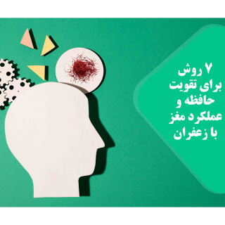 مغز