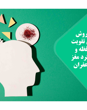 مغز