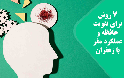 مغز