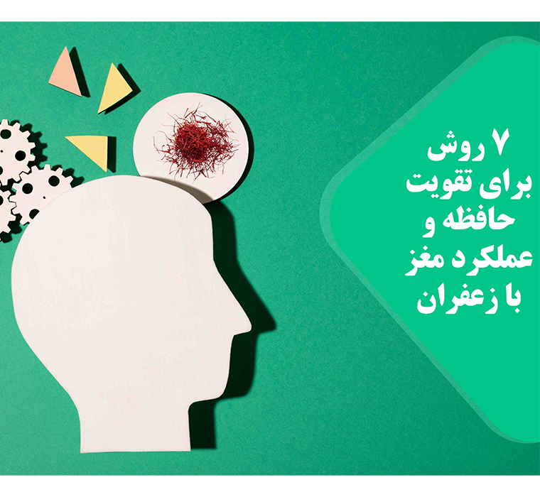 مغز