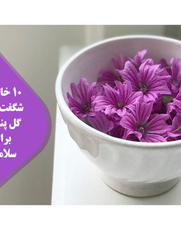 پنیرک