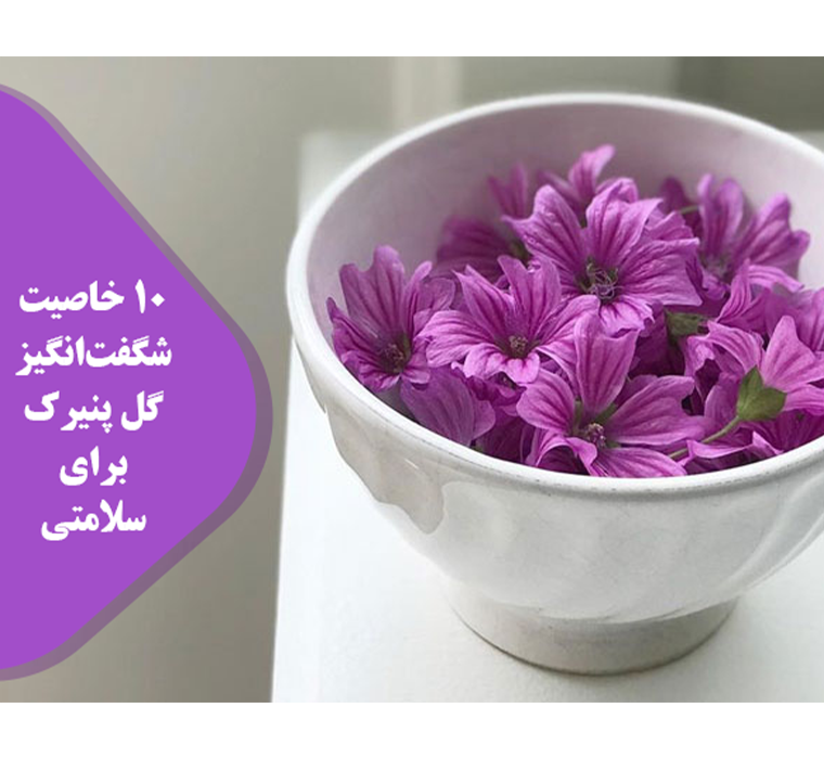 پنیرک