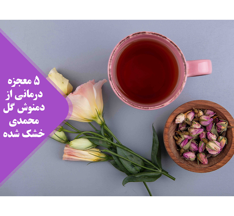 گل محمدی