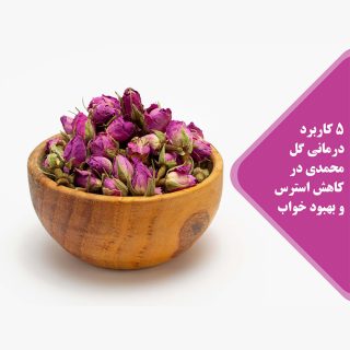 برعم زهرة محمدية