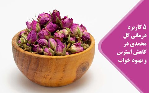 برعم زهرة محمدية