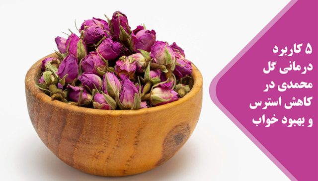 برعم زهرة محمدية