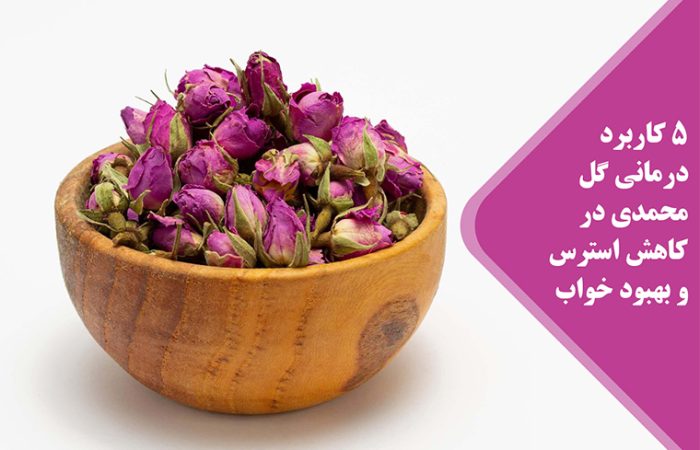 برعم زهرة محمدية