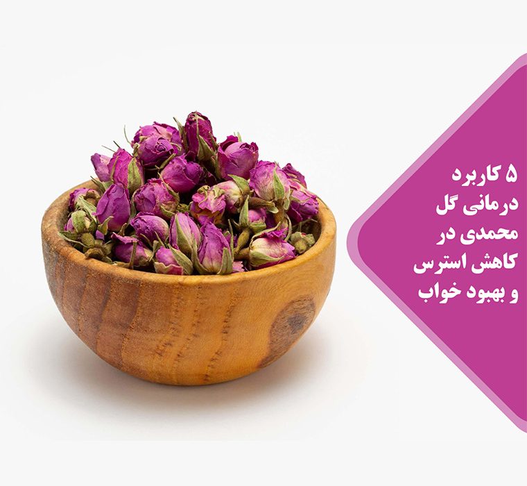 برعم زهرة محمدية