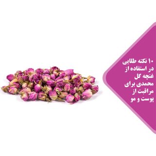Damask Rose