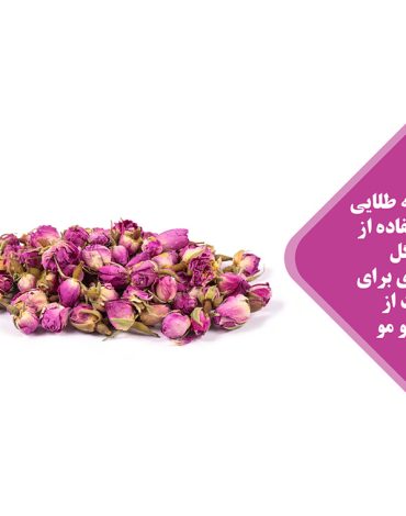 Damask Rose