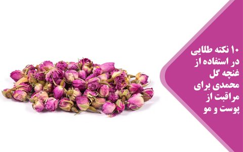 Damask Rose