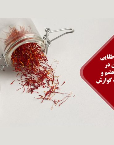 گوارش