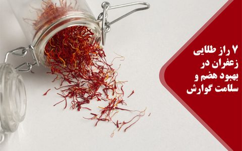 گوارش