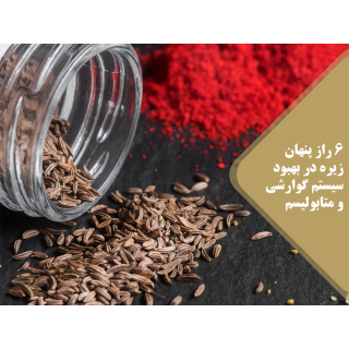 گوارشی