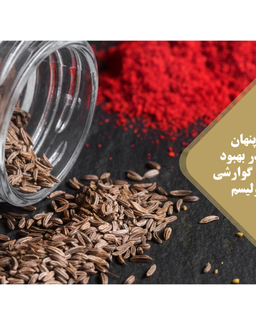 گوارشی