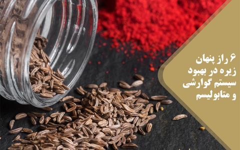 گوارشی