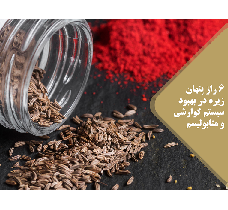 گوارشی